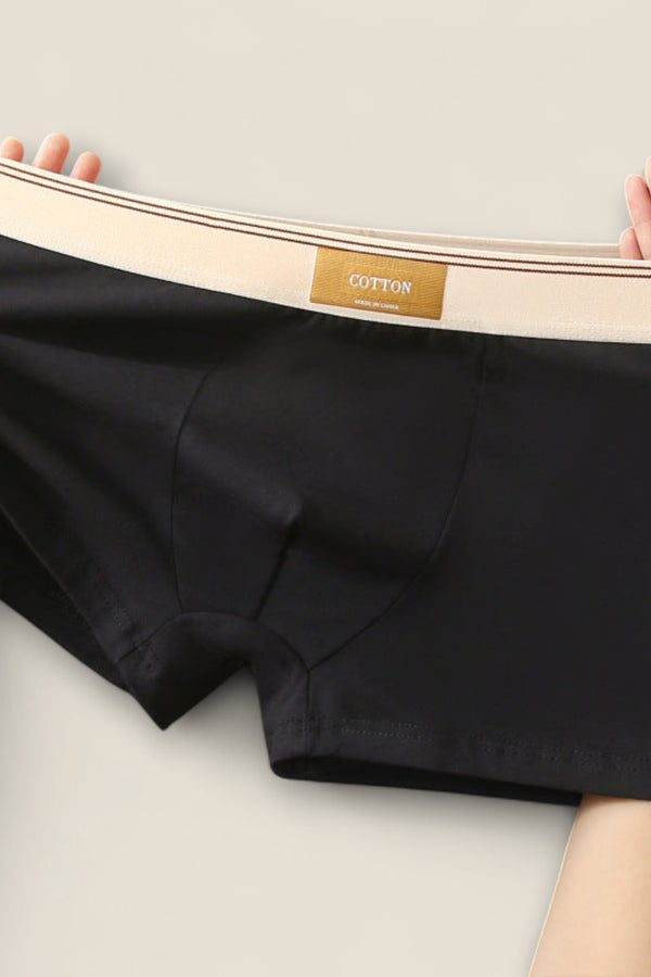 Elio - Stretch Cotton Briefs Collection