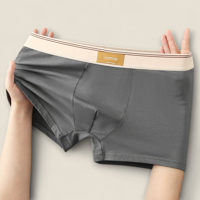 Elio - Stretch Cotton Briefs Collection