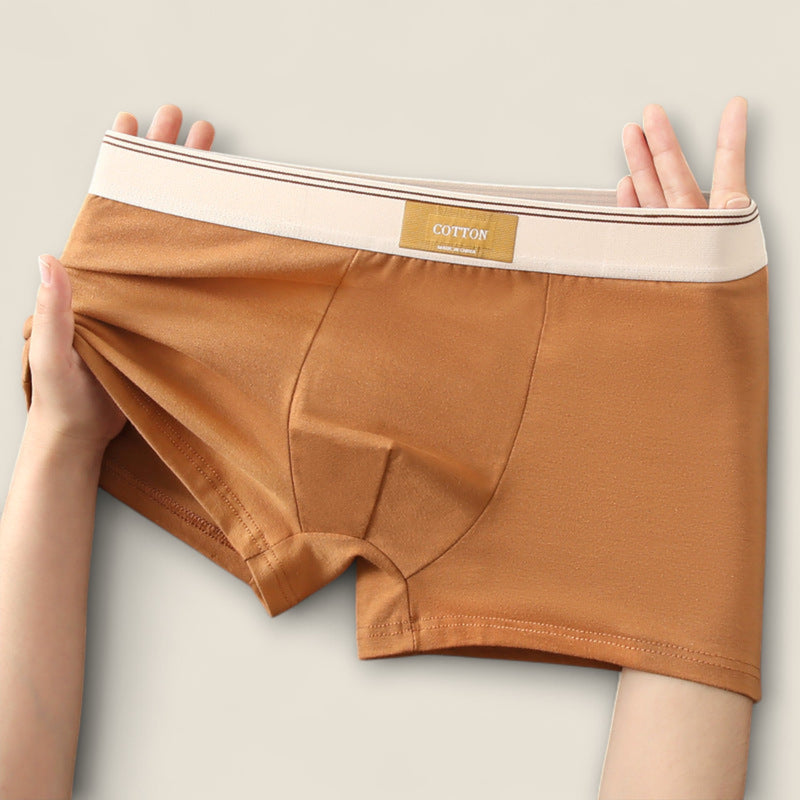 Elio - Stretch Cotton Briefs Collection