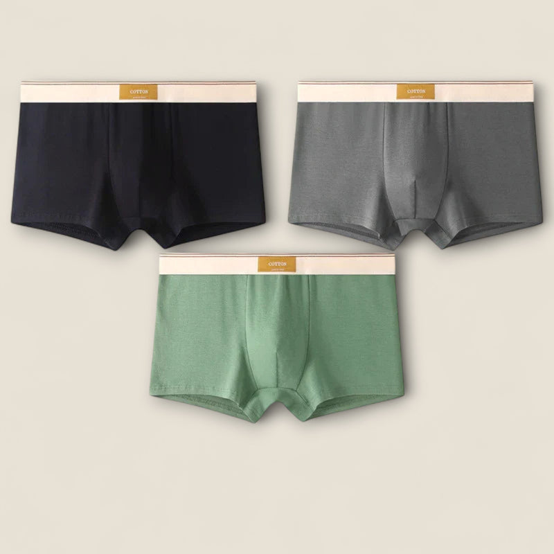Elio - Stretch Cotton Briefs Collection