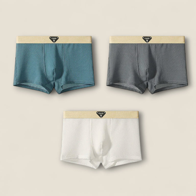 Gianni - Ice Silk Boxer Briefs - Set of 3