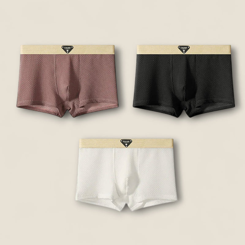 Gianni - Ice Silk Boxer Briefs - Set of 3