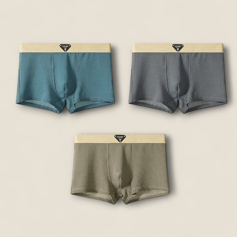 Gianni - Ice Silk Boxer Briefs - Set of 3